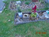 image of grave number 904782